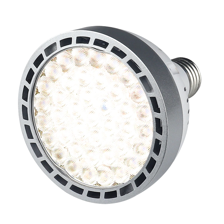 Osram Light Source PAR30 Spotlights