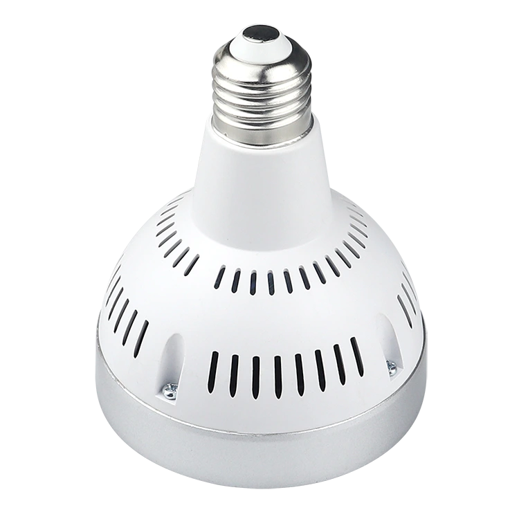 Osram Light Source PAR30 Spotlights