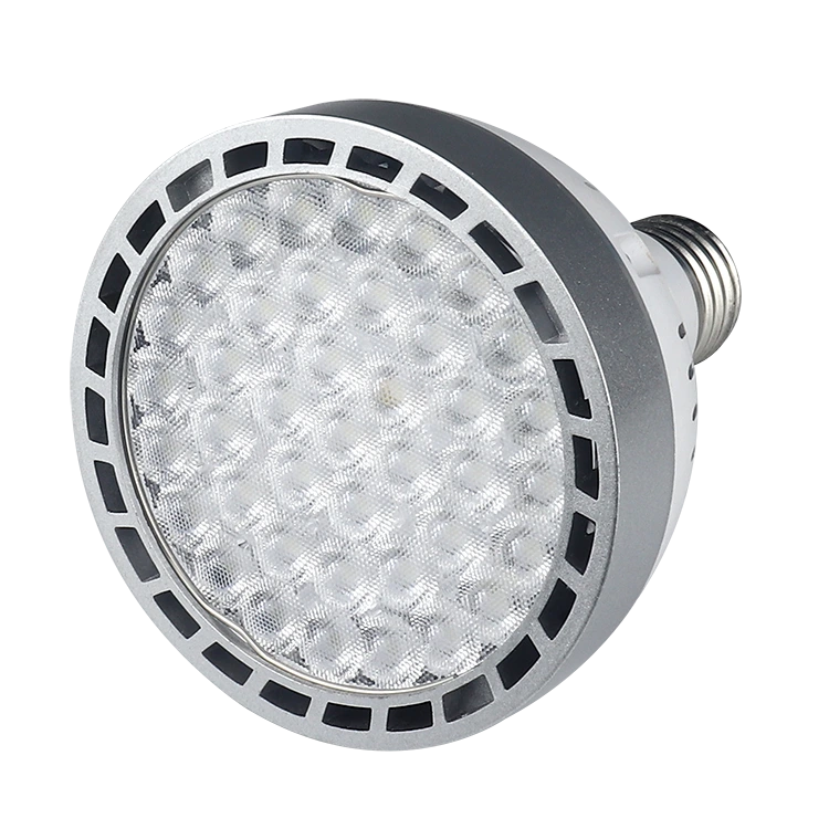 Osram Light Source PAR30 Spotlights