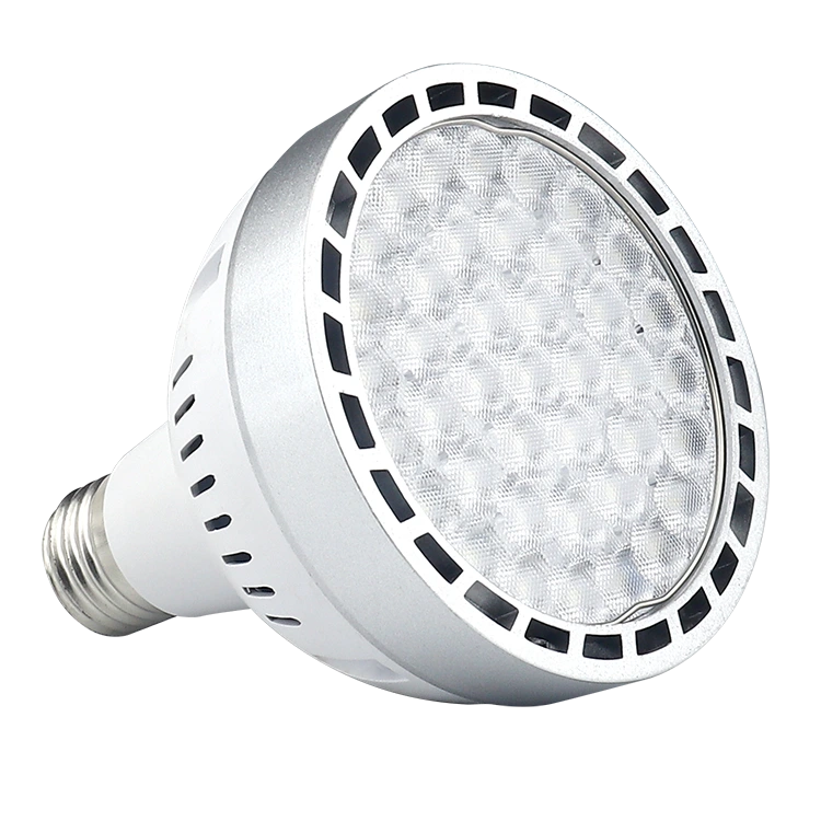 Osram Light Source PAR30 Spotlights