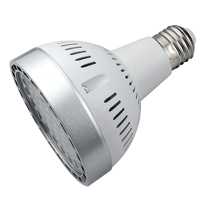 Osram Light Source PAR30 Spotlights